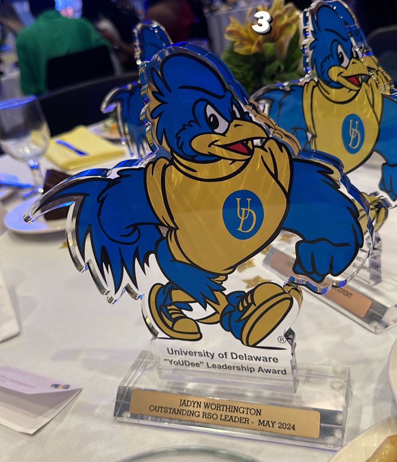 Outstanding RSO Leader photo 2